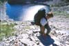 Thornton Lake Talus
