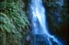 Te Wairoa Waterfall