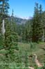Park Lakes Basin