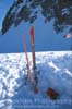 Backcountry Skis