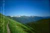 Mountain Trail