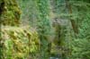 Eagle Creek