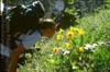 Smelling the Flowers
